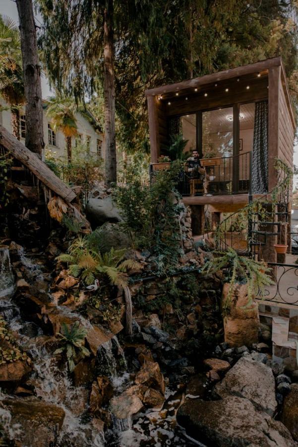 Hulus Hotel Makhinjauri Dış mekan fotoğraf